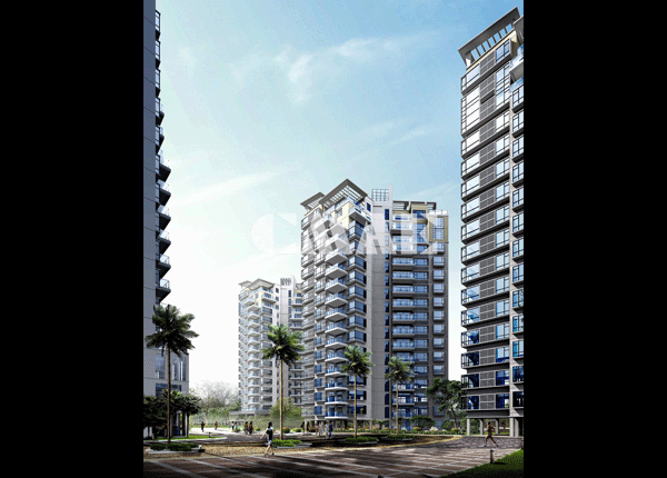 ��������Ʒ��ͼ